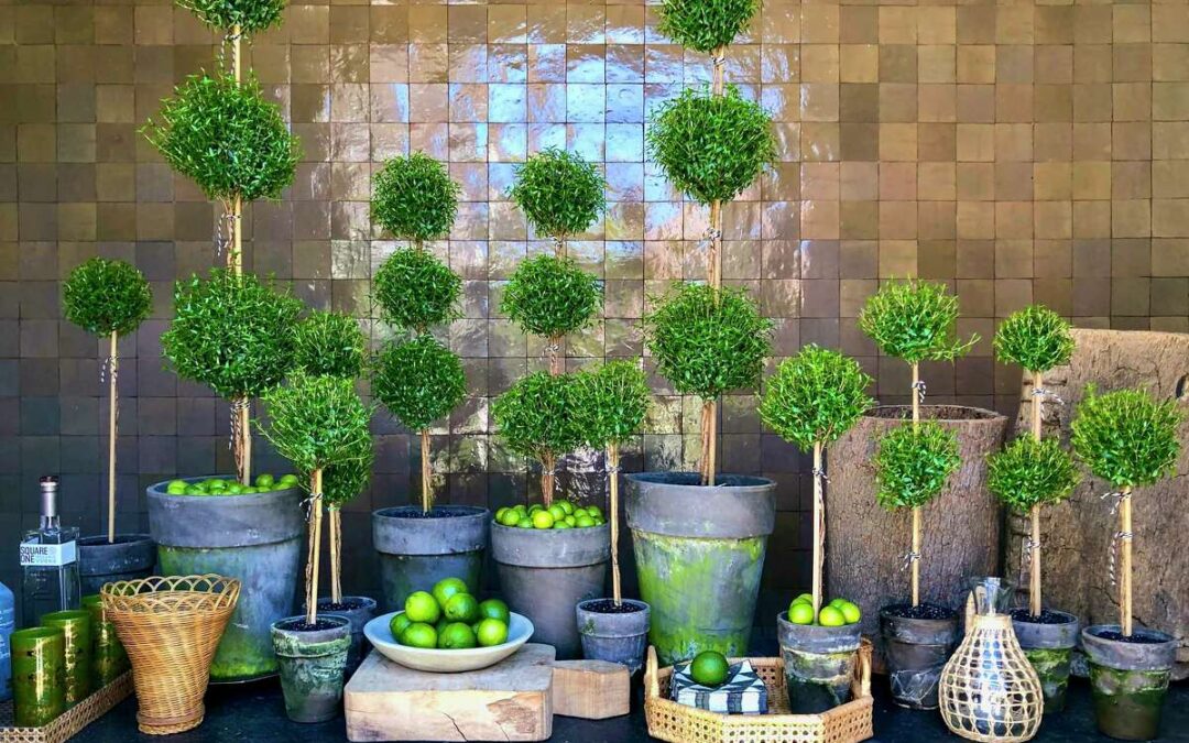 Houston’s Fall Design Week 2022 kicks off today with home style events